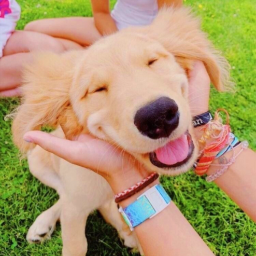 '*•♡