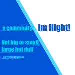 im flight