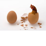 glass chicken egg cult