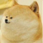 Doge Are Pros