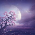 MoonLit Studíos