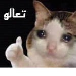 ALSHEHHI