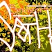 bridger:SFOTH icon