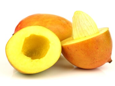MANGO OBBY (ALPHA)