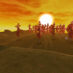 Sunset & Catalog Avatar Hangout
