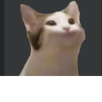 Pop cat united!!!!!!