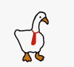 BESITE GOOSES