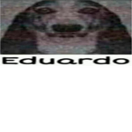 grupe de miranha do tiko teko;-;