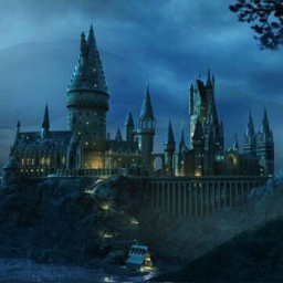 Hogwarts school of witchcraft and wizardry RP