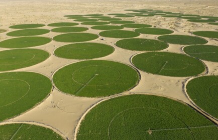 Al Khitah Farms Application Center