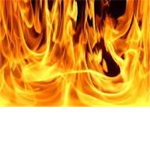 ninjas of  flames