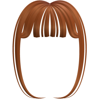 Elegant Light Brown Bangs