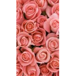 Roses dance group!