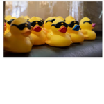 The Official duck clan