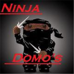NinjaDomos