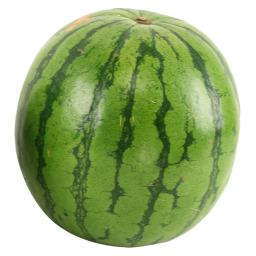 melons library