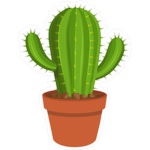The Elite Cacti Cult