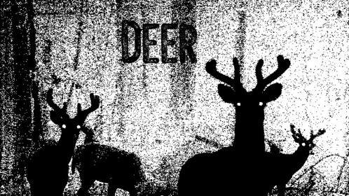 Deer