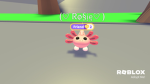 Rosie the axoltle