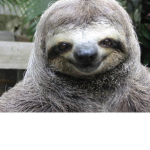 TEAM GODD