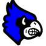 The St. Louis Blue Jays Football Team