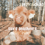 savannah’s seashell’s