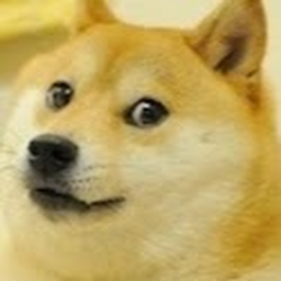Doge Empire Training Place (NEW)