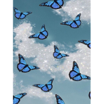Beautiful butterfly!