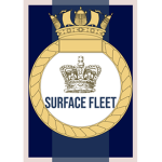 ~|RN| Surface Fleet