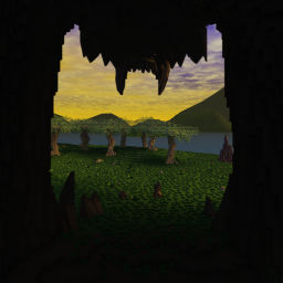 Gallery Forest