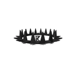 👻 Shadow Crown Of Doom 👻