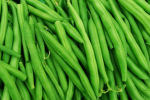 Green Bean Group5