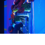 Gta6 bruh