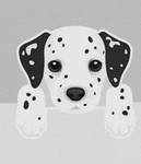 Dog world of my life