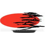 Rising Sun Dojo of Martiel Arts