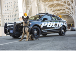 DOJ Sandy Shores Rp Server