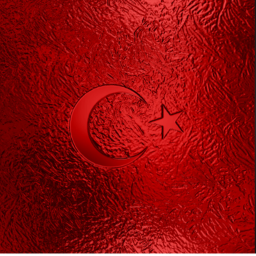 Turkish Armed Forces  [BETA]