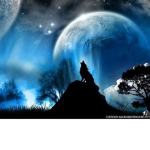 The twilight wolfs Productions