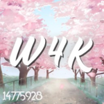 W4K