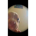 #### ### maybe idk
