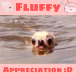 Fluffy Appreciation Group! :D