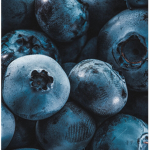 Die verrückten Blaubeeren