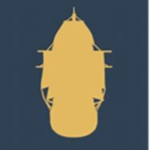 State of Mayflower | WS