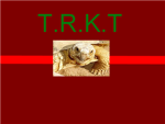 T.R.K.T
