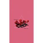 Red Roses ;)