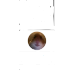 Alex_nice