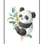 Pandas...
