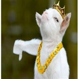 Goat Temple