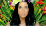 Katy Perry (JOIN IF A YOU A FAN)