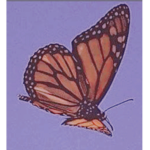 butterfly YT group